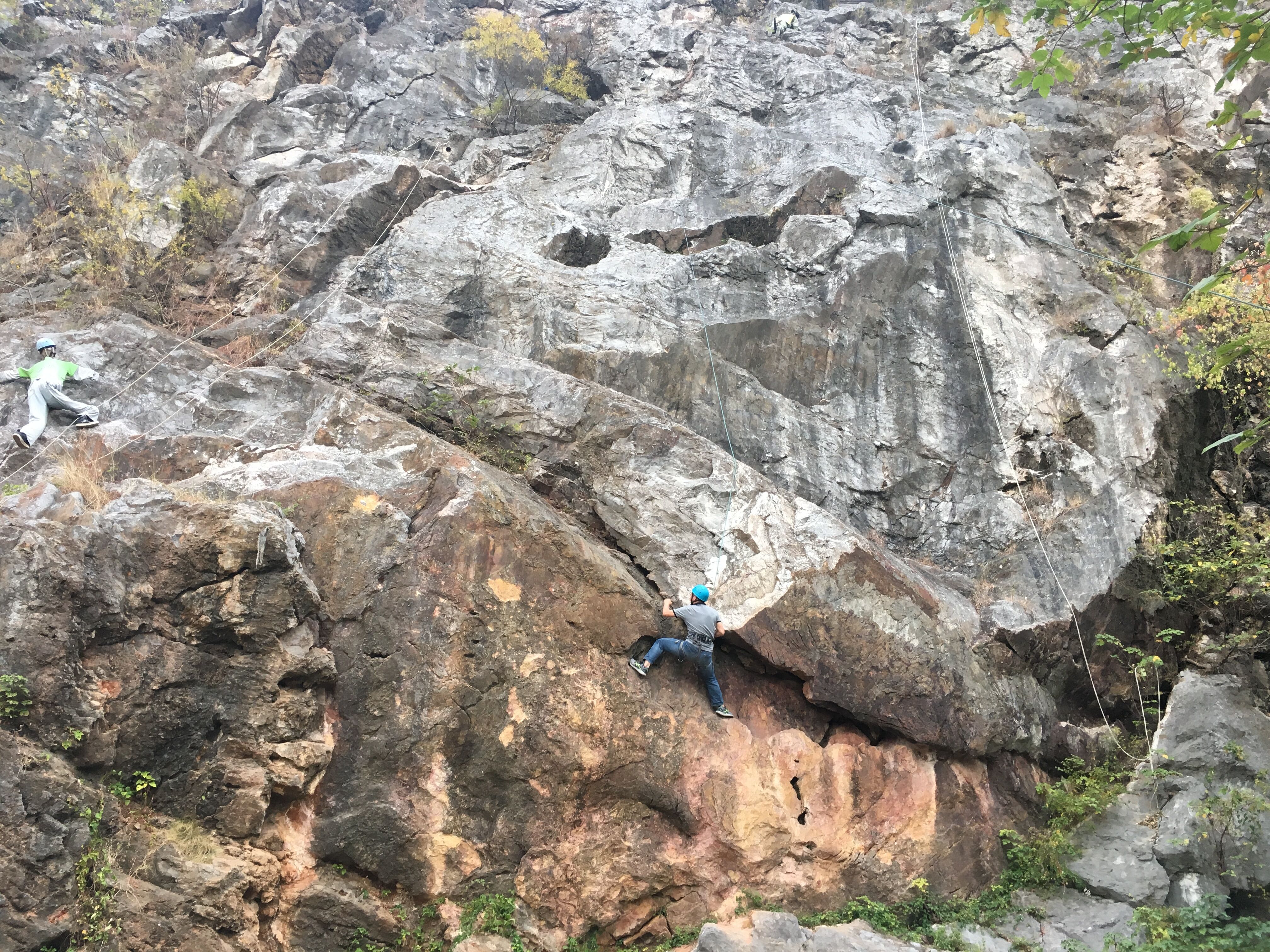 麻将胡了模拟器pg下载-麻将胡了模拟器pg下载2025最新版本