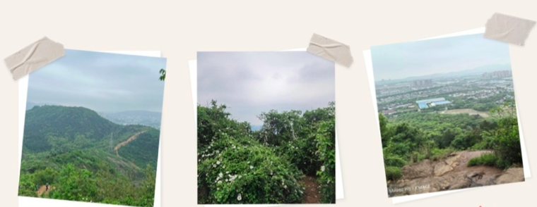 麻将胡了模拟器pg下载-麻将胡了模拟器pg下载2025最新版本